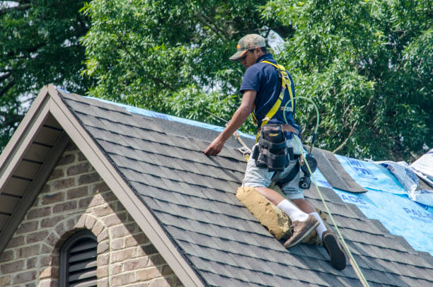 Best Roof Restoration Services  in Dallas, GA